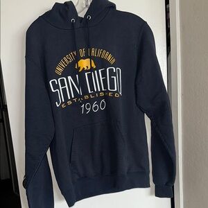 Champion Blue Sweatshirt Hoodie